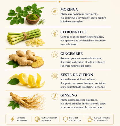 Energy Boost - concentration et vitalité